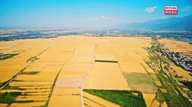 31看世界 - 千年陝菜 (第二季)