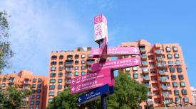 雙城記-兩岸主播逛香港