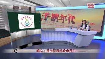 千禧年代 5月13日