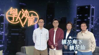 桃花庵下桃花仙