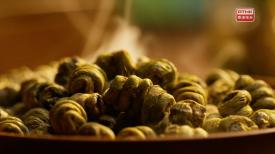 31看世界 - 本草流芳