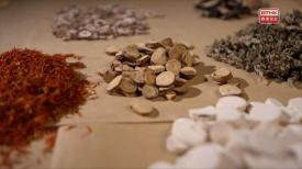 31看世界 - 本草流芳