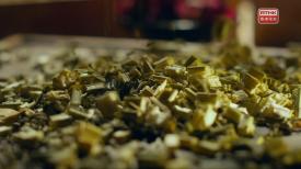 31看世界 - 本草流芳