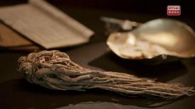 31看世界 - 本草流芳