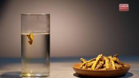 31看世界 - 本草流芳