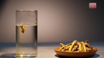 第七集：苦口良藥 -黃連