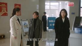 無所畏懼之永不放棄