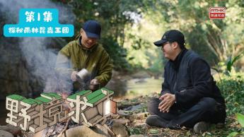 第一集：探秘雨林昆蟲王國
