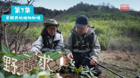 野境求真