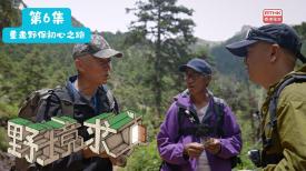 野境求真