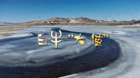 31看世界 – 白牛